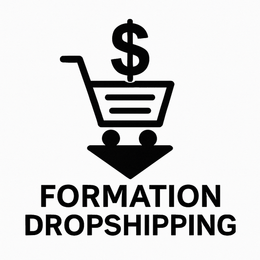 Formation DROPSHIPPING